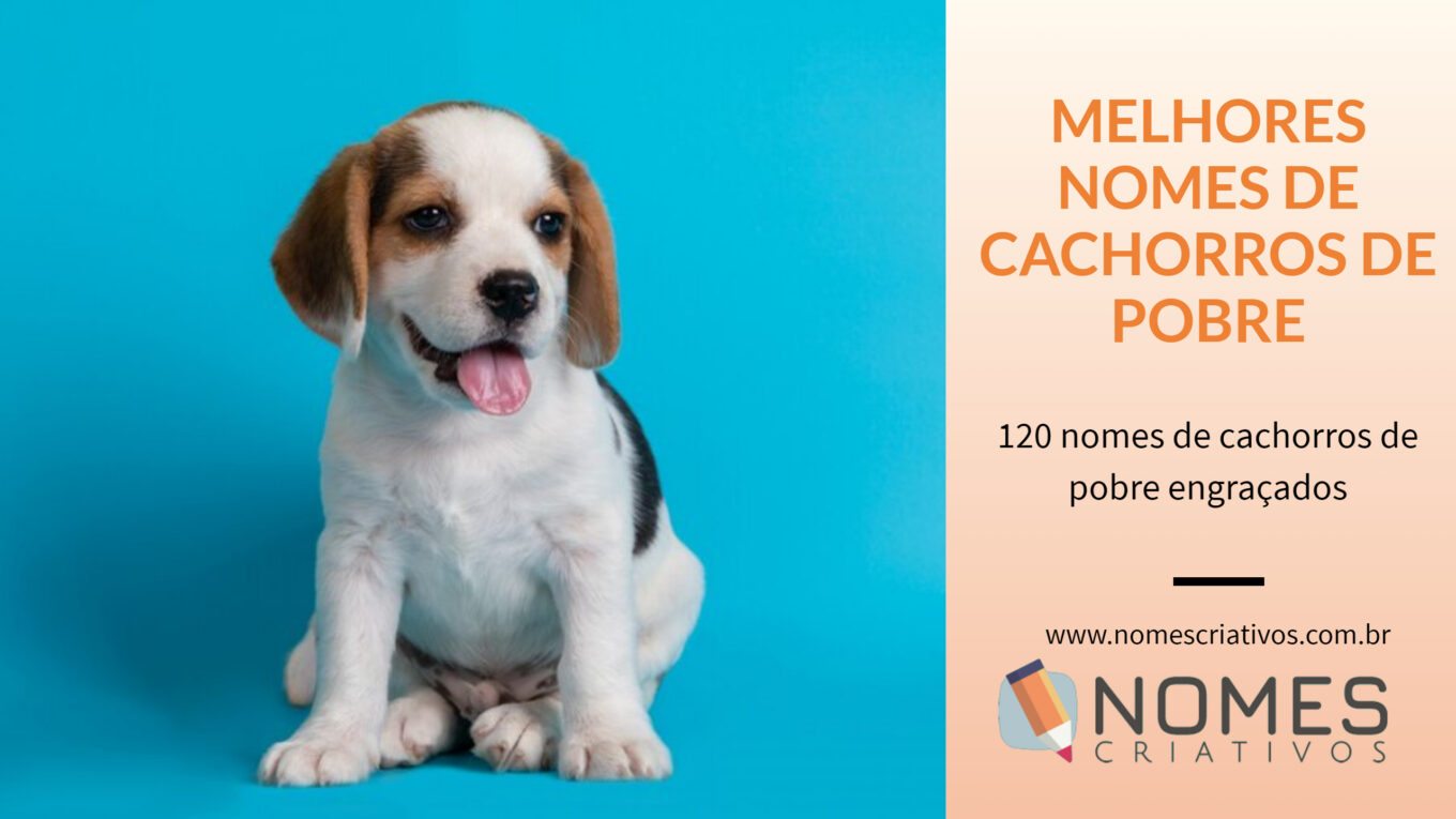 200 Nomes FORTES para cachorro - Criativos e marcantes!